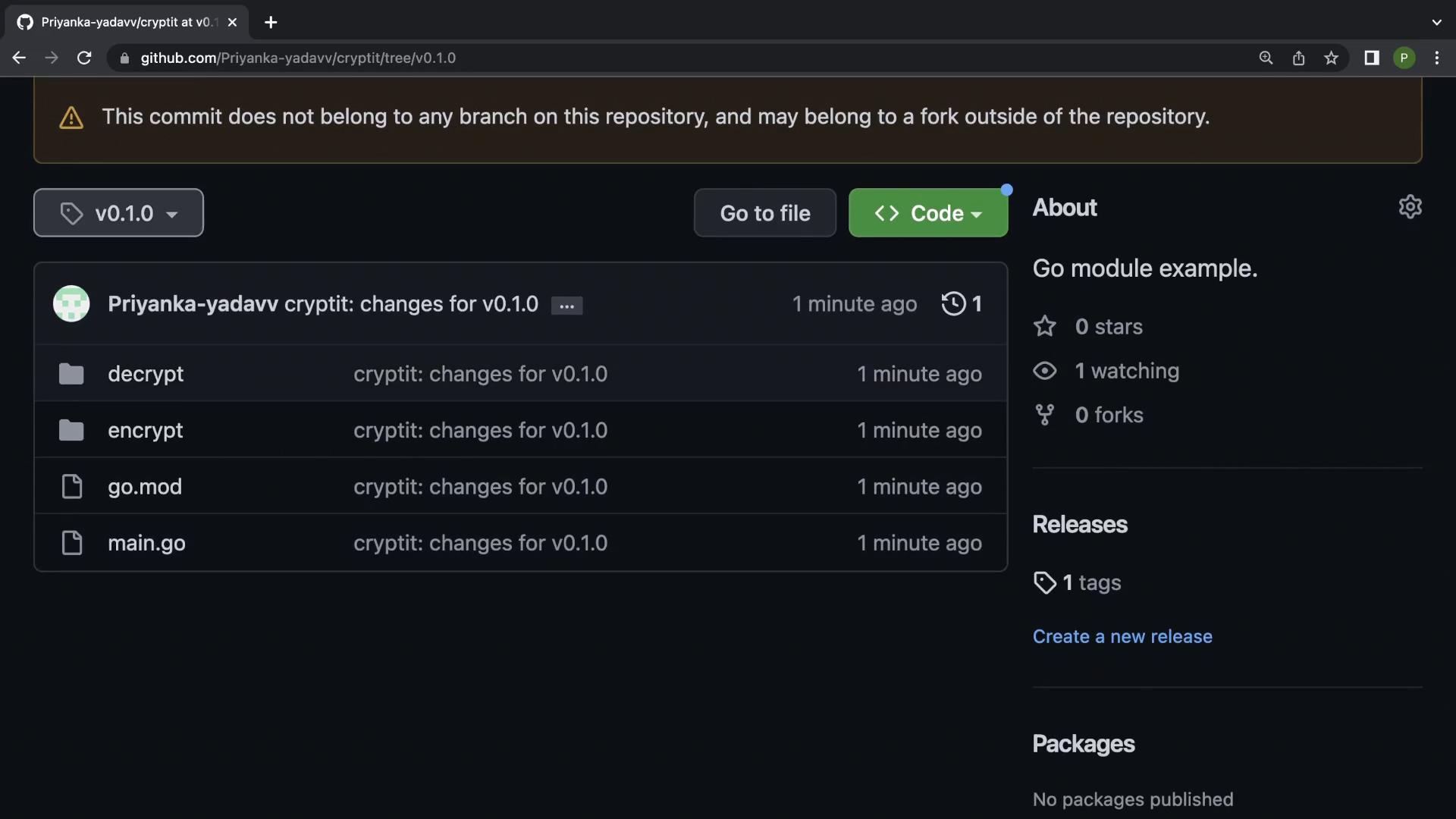 A dark-mode GitHub repository page for "Priyanka-yadavv/cryptit" showing a v0.1.0 tag and a file list with folders named decrypt and encrypt plus go.mod and main.go. The right sidebar shows "Go module example" and repo stats (0 stars, 1 watching).