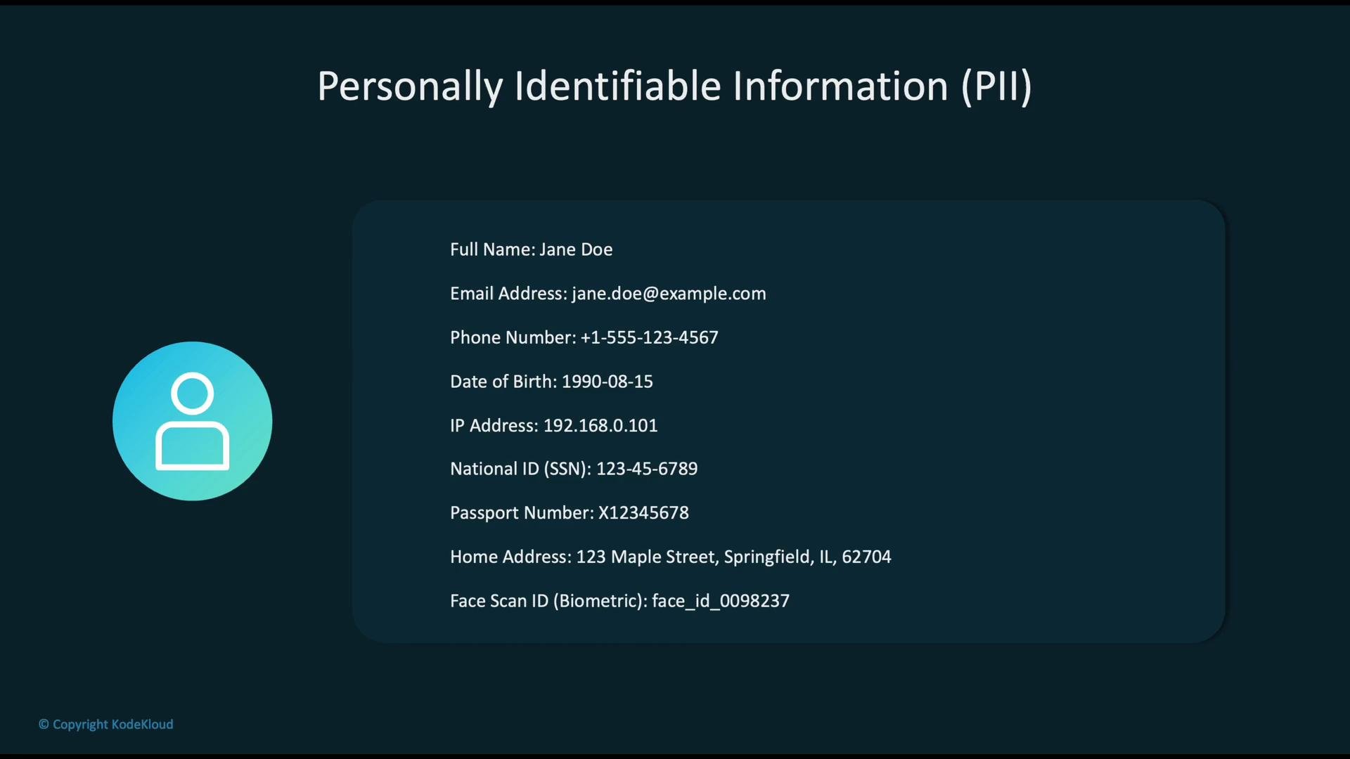 The image displays a list of personally identifiable information (PII) for a fictional person, including name, email, phone number, and address. It also includes technical identifiers like IP address and biometric data.