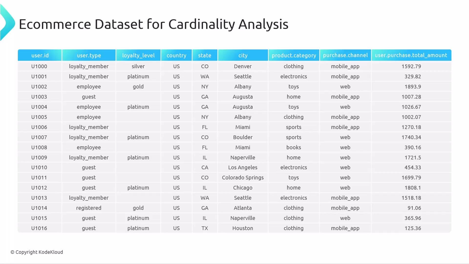The image displays an eCommerce dataset for cardinality analysis, featuring columns such as user ID, user type, loyalty level, location details, product category, purchase channel, and total purchase amount.