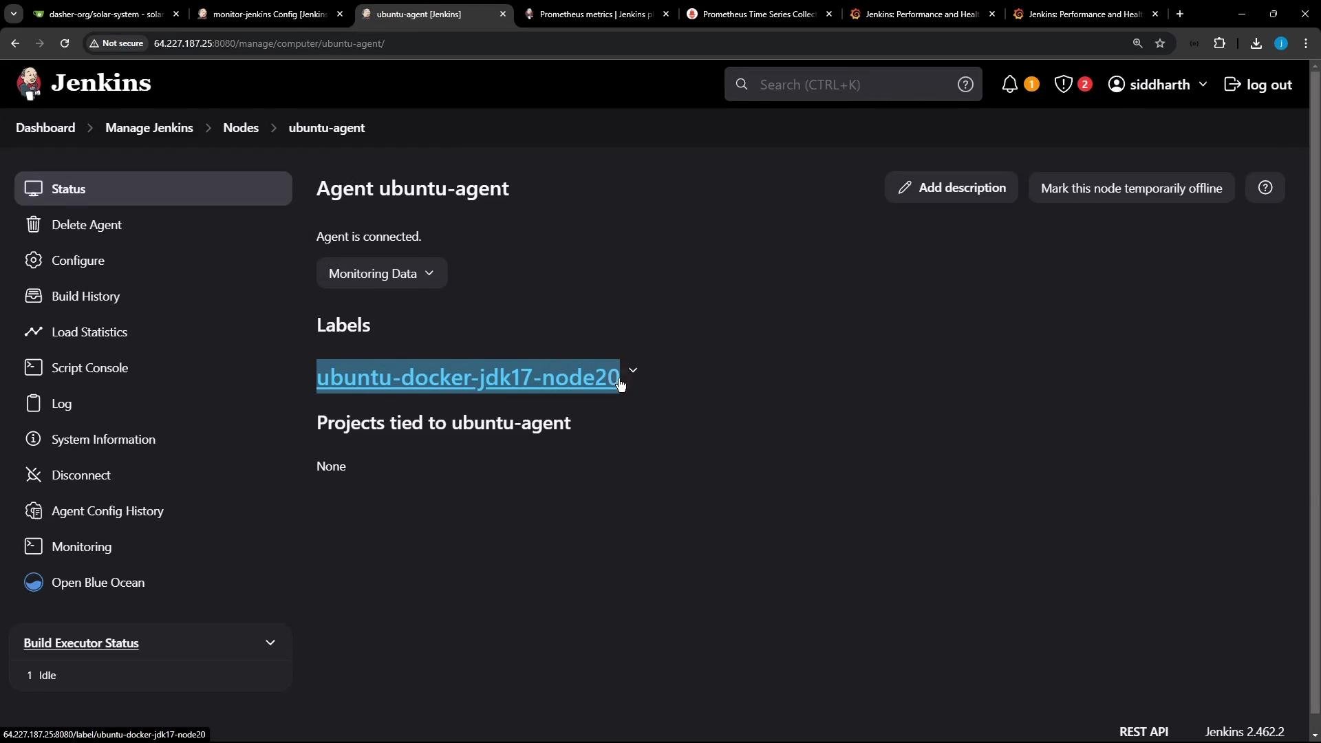 A screenshot of the Jenkins web UI showing the "Agent ubuntu-agent" details page. The agent is connected and a label "ubuntu-docker-jdk17-node20" is highlighted, with the left sidebar of Jenkins management options visible.