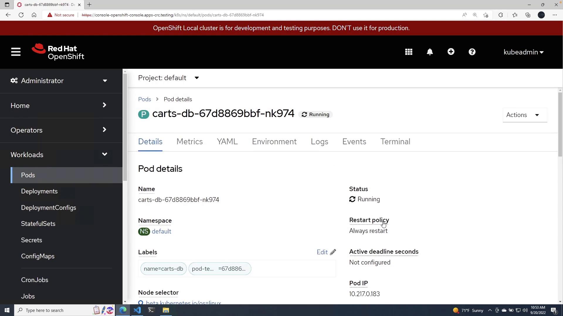 A screenshot of the Red Hat OpenShift web console showing Pod details for "carts-db-67d8869bbf-nk974" in the "default" project with status "Running." The page displays metadata like namespace, labels, restart policy and Pod IP, with the left sidebar highlighting Workloads → Pods.