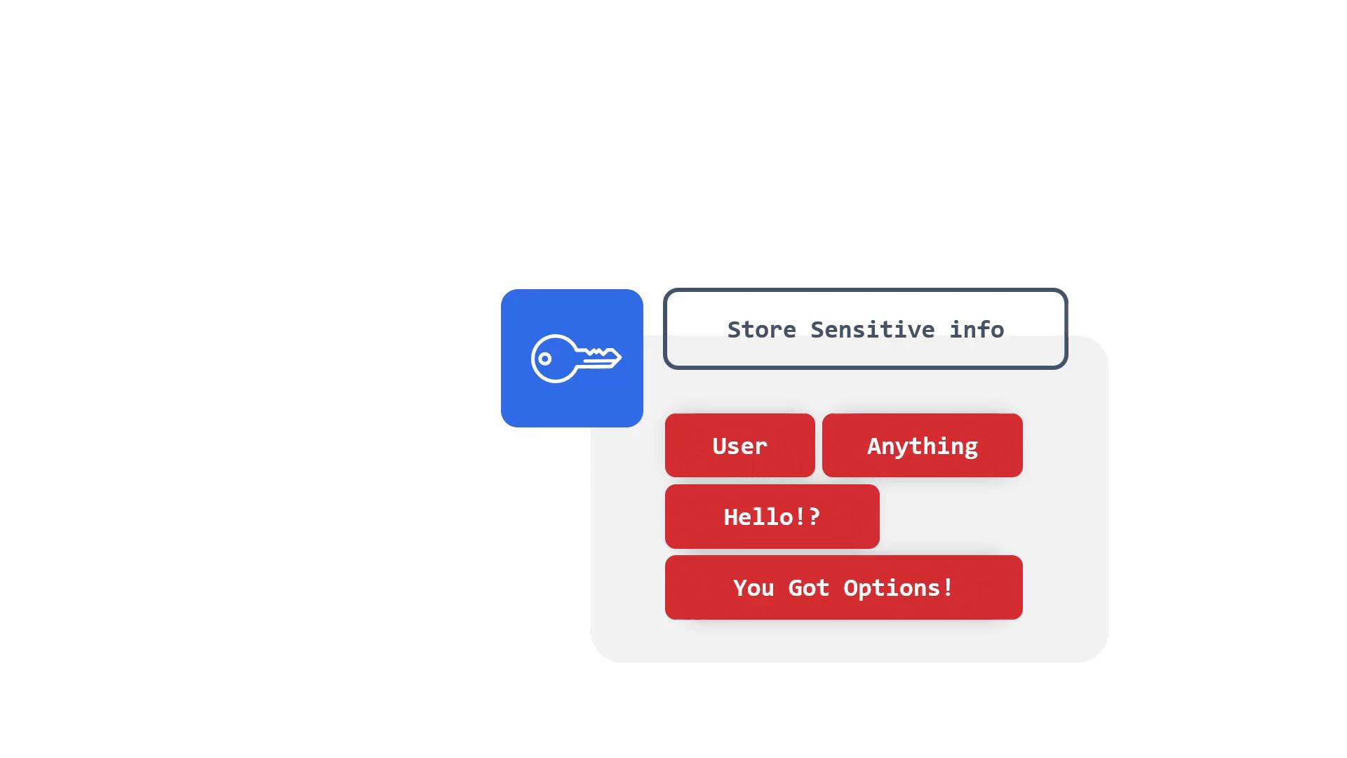 A minimalist UI mockup showing a blue key icon next to a rounded label reading "Store Sensitive info." Below it is a panel with red rounded buttons labeled "User," "Anything," "Hello!?," and "You Got Options!"