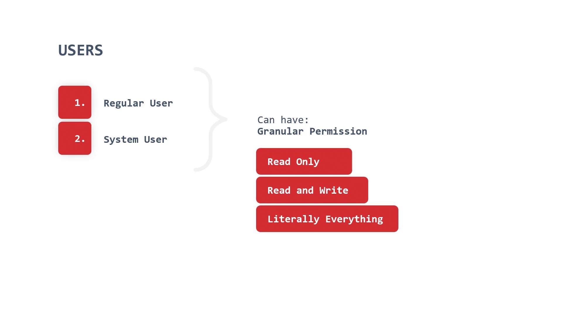 The image is a simple diagram titled "USERS" showing two user types—"1. Regular User" and "2. System User"—on the left. On the right it lists possible granular permissions in red buttons: "Read Only," "Read and Write," and "Literally Everything."
