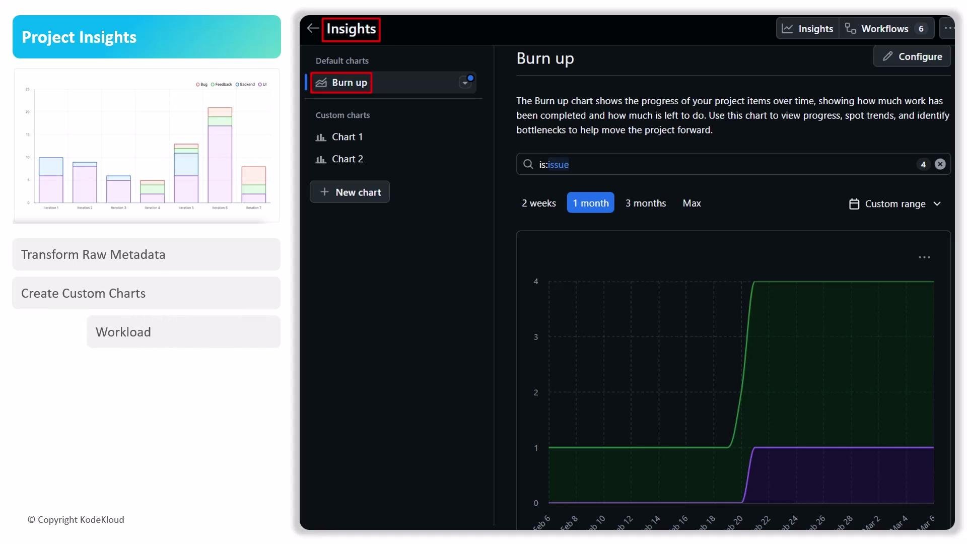 The image shows a "Project Insights" dashboard featuring a bar chart and a "Burn up" line graph, depicting project progress over a selected time frame of one month. The dashboard includes options for transforming metadata, creating custom charts, and viewing workloads.