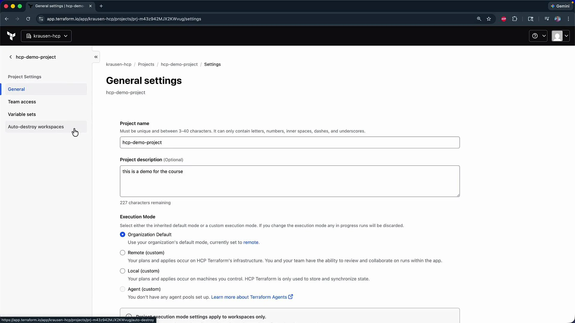 The image is a screenshot of the general settings page for a project in a web application, showing options for project name, description, and execution mode settings.