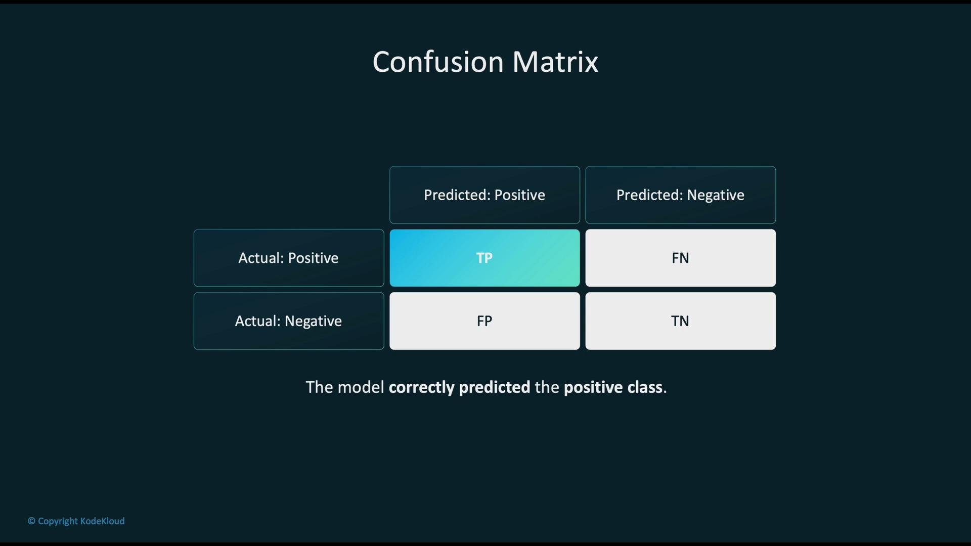 The image displays a confusion matrix with categories for true positives (TP), false negatives (FN), false positives (FP), and true negatives (TN), highlighting the correct prediction of the positive class.