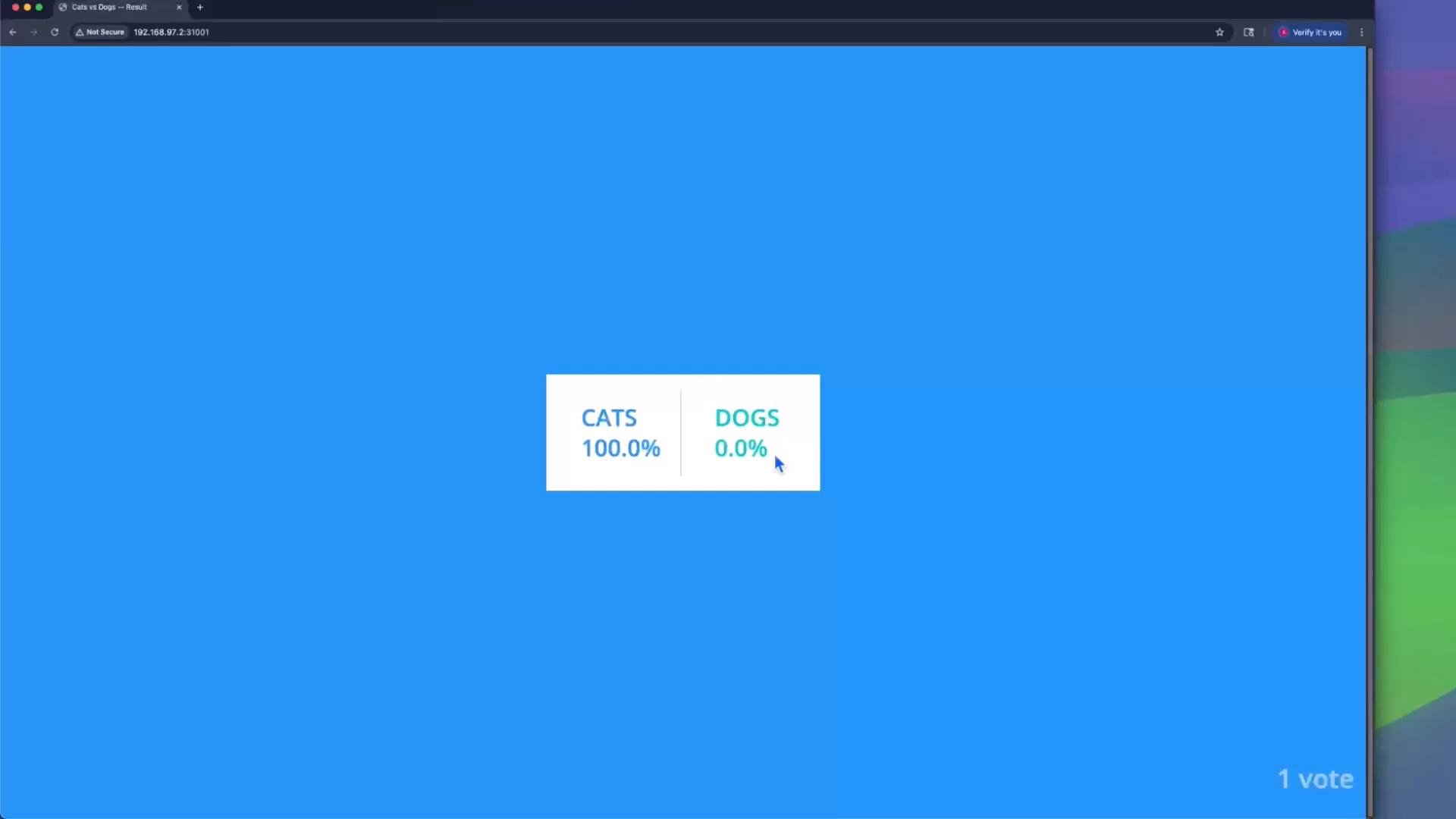 A simple blue screen showing a small centered poll results box that reads "CATS 100.0%" and "DOGS 0.0%." A browser window frame is visible around the screen and "1 vote" is shown in the bottom-right.