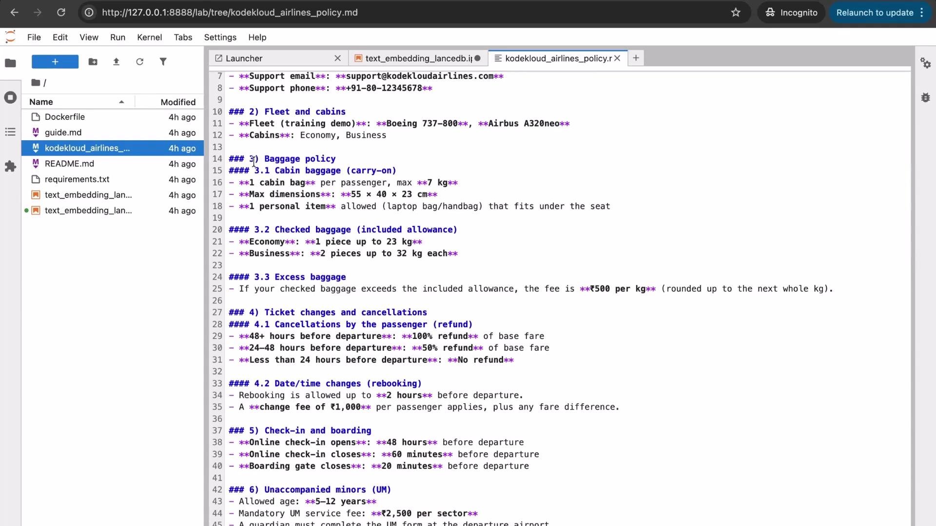 The image shows a code or document editor with a file open displaying airline policies, including sections on baggage, ticket changes, and boarding information. The interface includes a file explorer on the left, showing other files and their modification times.