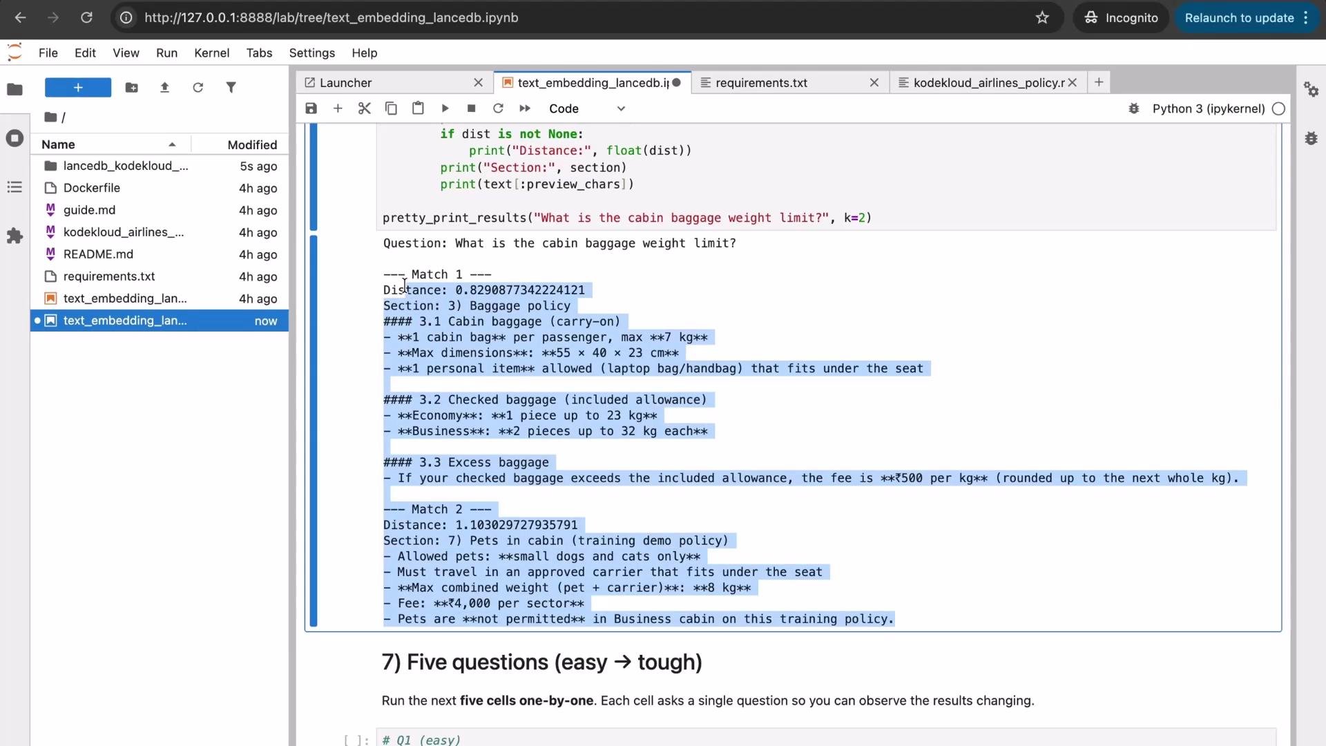 The image shows a Jupyter Notebook interface displaying a Python script related to a text embedding project. It includes details on baggage policies and training demos for cabin pets, with sections for cabin baggage and checked baggage rules.