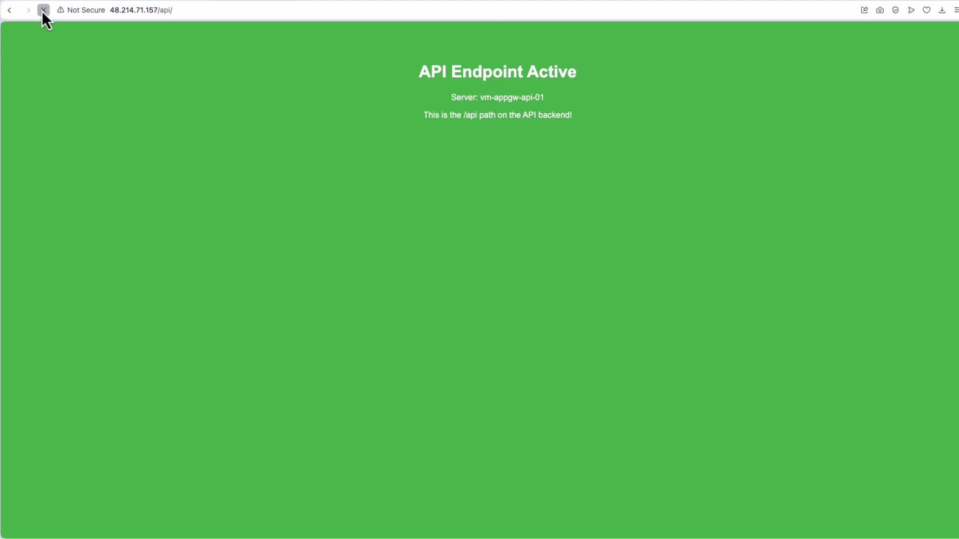 The image shows a green screen with a message indicating "API Endpoint Active" along with server information and a note about the API backend path.