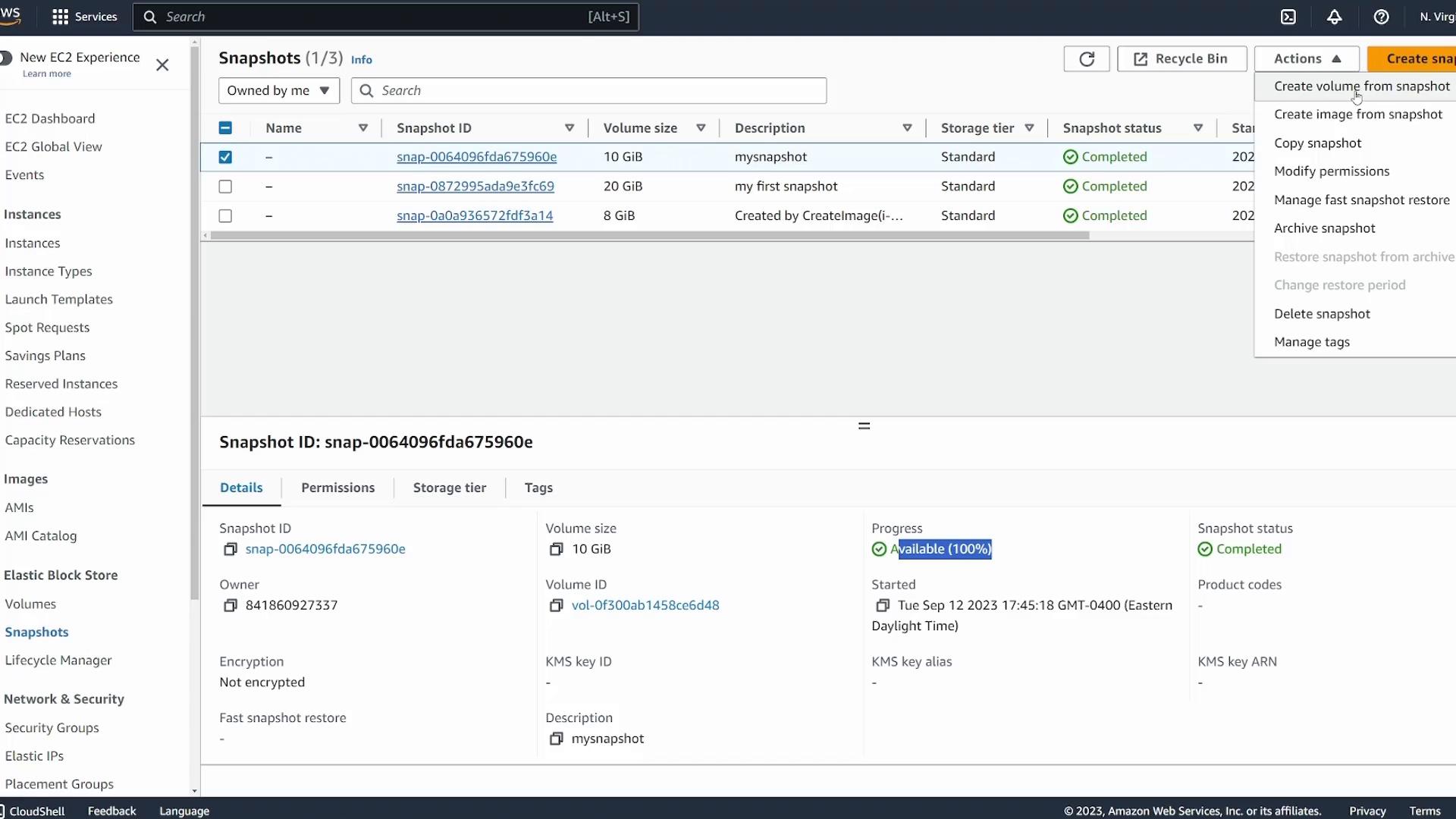 A screenshot of the Amazon Web Services EC2 Snapshots console showing a list of EBS snapshots with IDs, volume sizes, descriptions and a status of Completed. The details pane below shows one snapshot's metadata and an Actions menu (e.g., Create volume from snapshot).