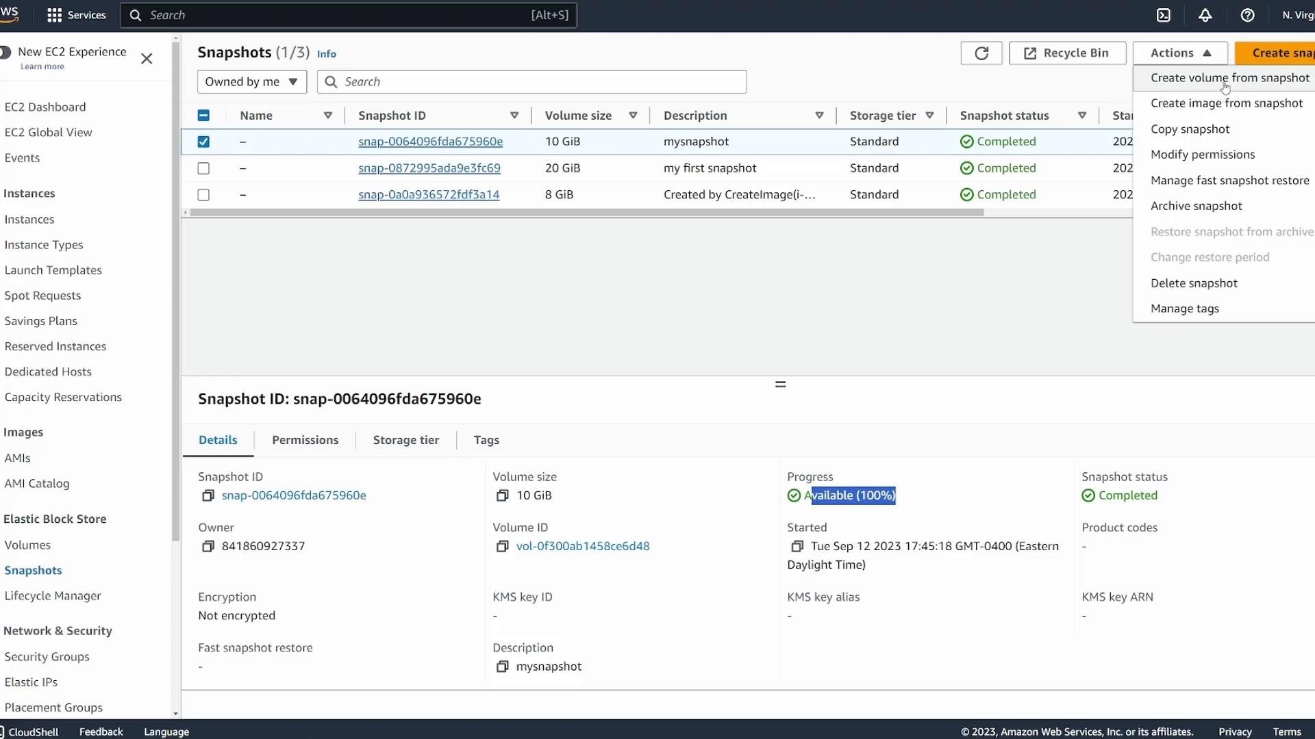 A screenshot of the Amazon Web Services EC2 Snapshots console showing a list of EBS snapshots with IDs, volume sizes, descriptions and a status of Completed. The details pane below shows one snapshot's metadata and an Actions menu (e.g., Create volume from snapshot).