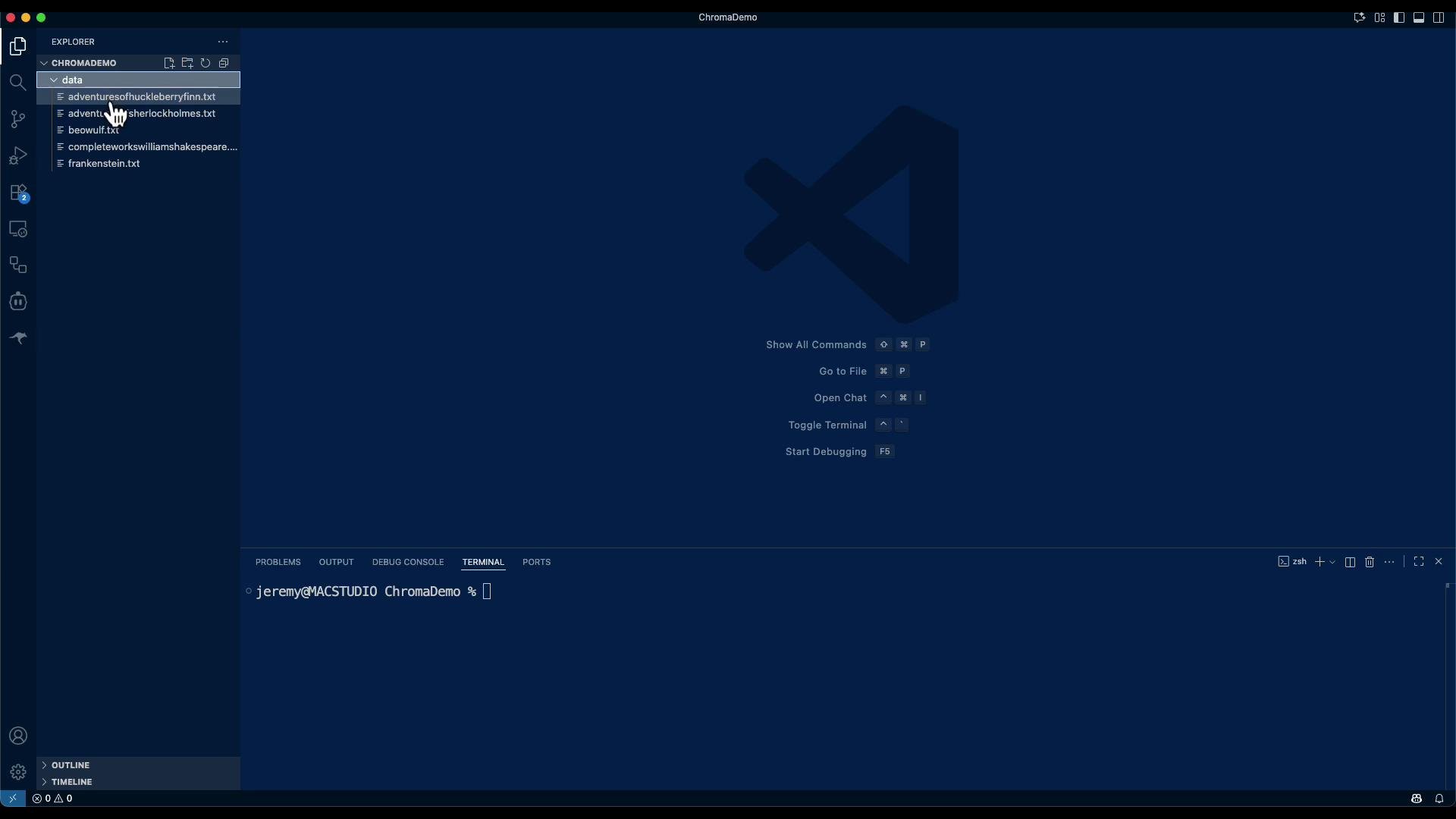 This image shows an open Visual Studio Code window with a file explorer on the left displaying several text files. The terminal at the bottom indicates a command line in use.