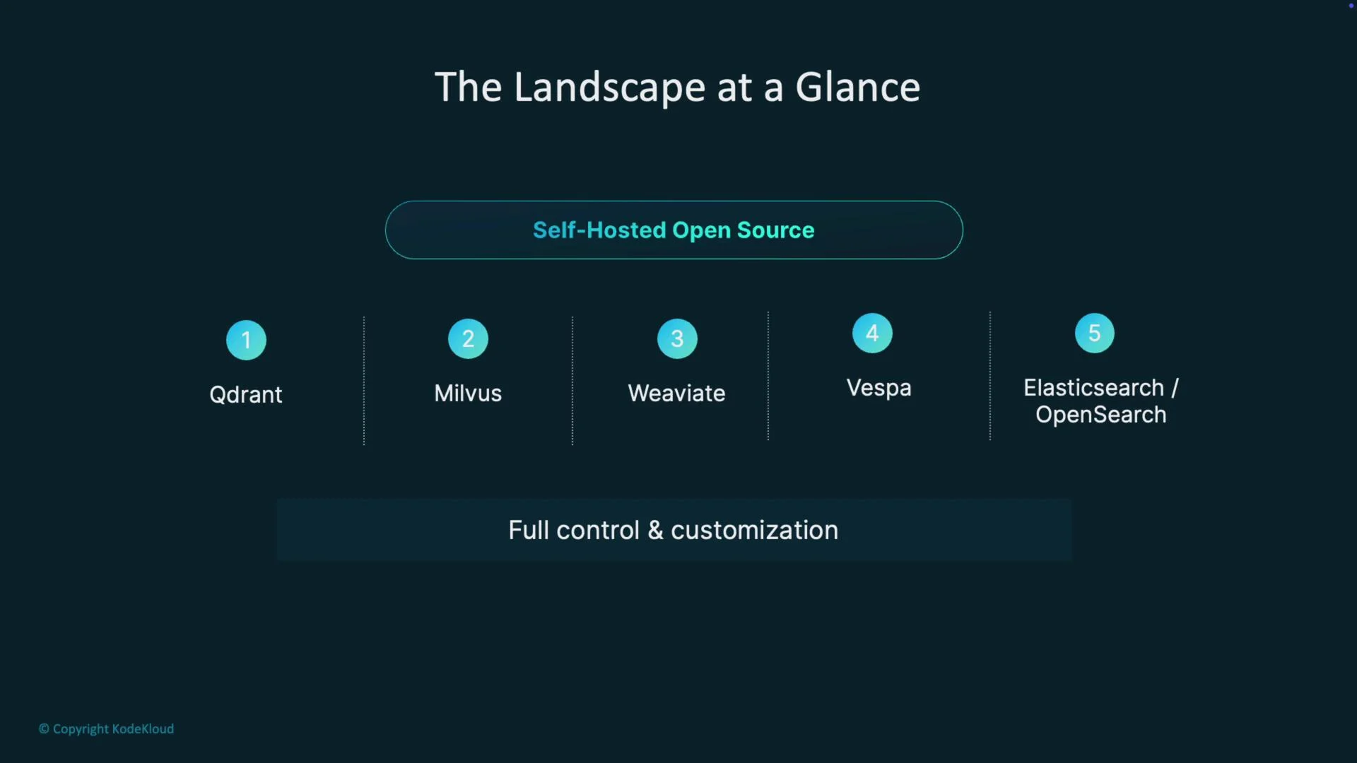 The image is a comparison chart titled "The Landscape at a Glance" featuring five self-hosted open-source platforms: Qdrant, Milvus, Weaviate, Vespa, and Elasticsearch/OpenSearch, emphasizing full control and customization.