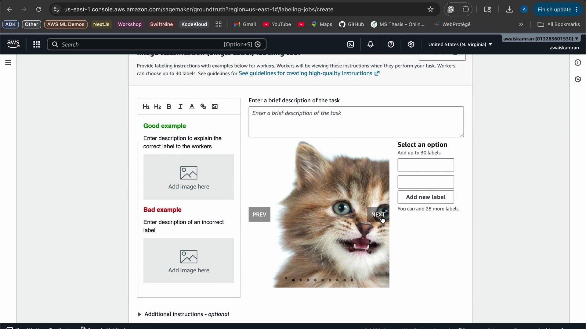 A fluffy kitten is meowing with its mouth open, displaying a playful expression.