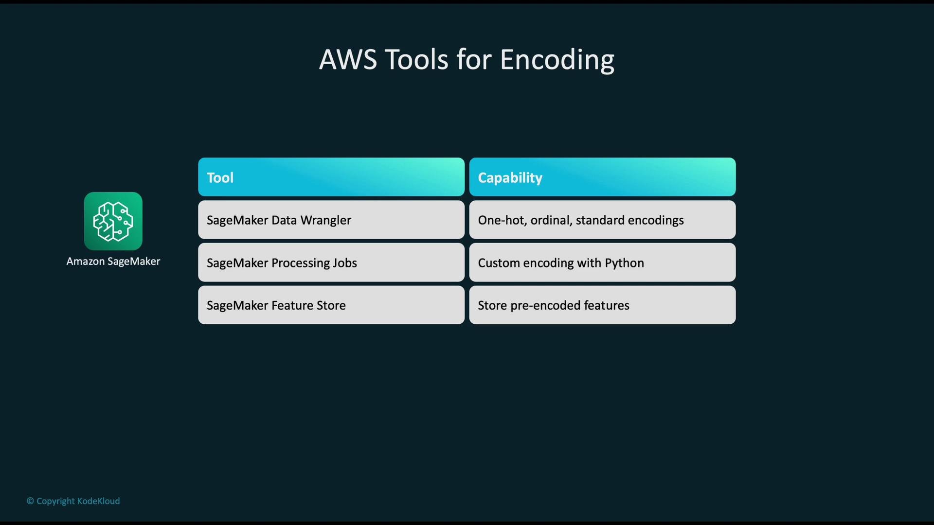 The image lists AWS tools for encoding, including SageMaker Data Wrangler, SageMaker Processing Jobs, and SageMaker Feature Store, along with their encoding capabilities.
