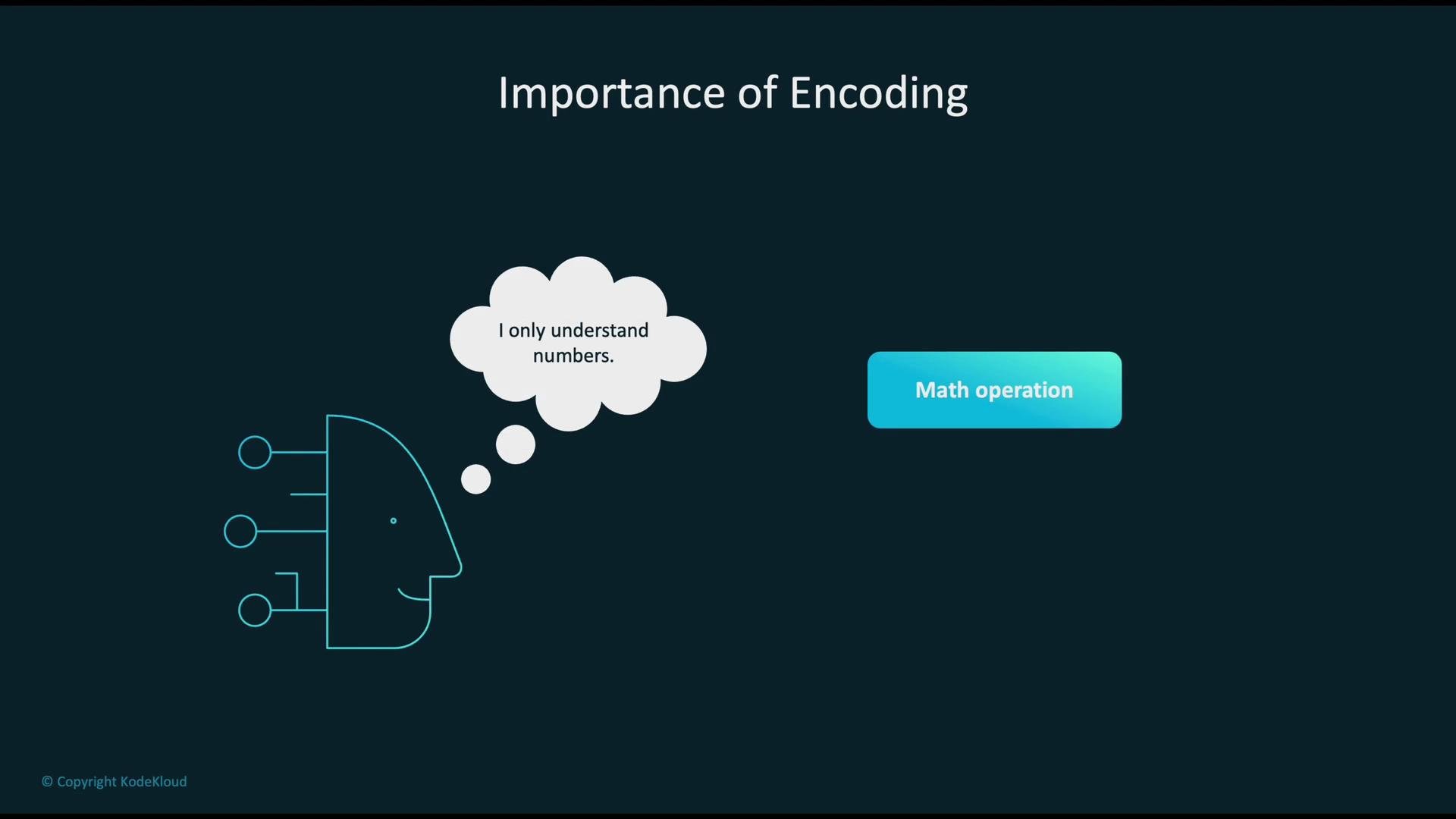 The image illustrates the "Importance of Encoding" with a graphic of a face thinking "I only understand numbers," alongside a button labeled "Math operation."