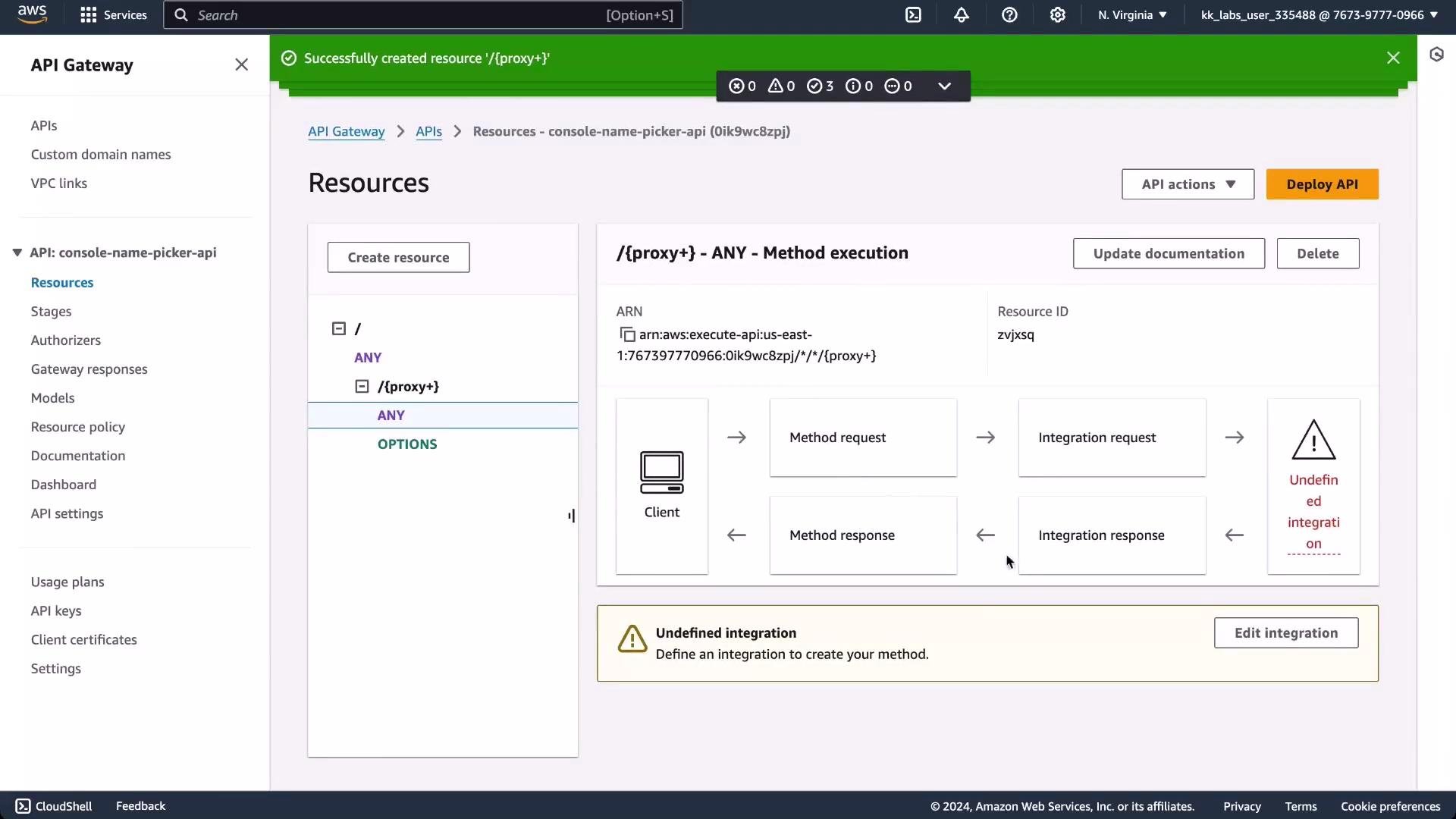 A screenshot of the AWS API Gateway console showing the Resources page for an API with the /{proxy+} ANY method selected, displaying the method → integration flow and an "Undefined integration" warning. The left sidebar shows API navigation items and a green success banner appears at the top.