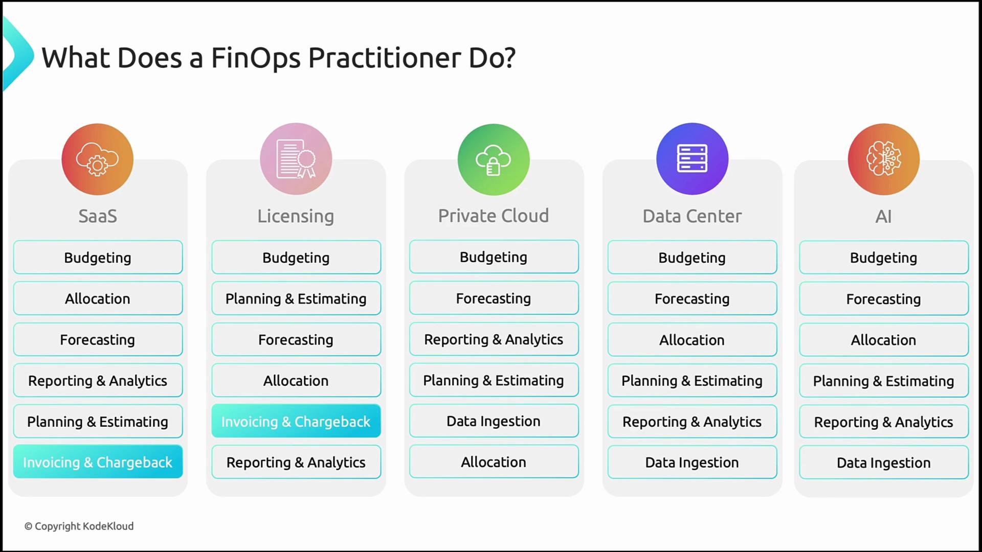 The image summarizes the roles of a FinOps practitioner across five areas: SaaS, Licensing, Private Cloud, Data Center, and AI, detailing activities like budgeting, forecasting, and reporting.