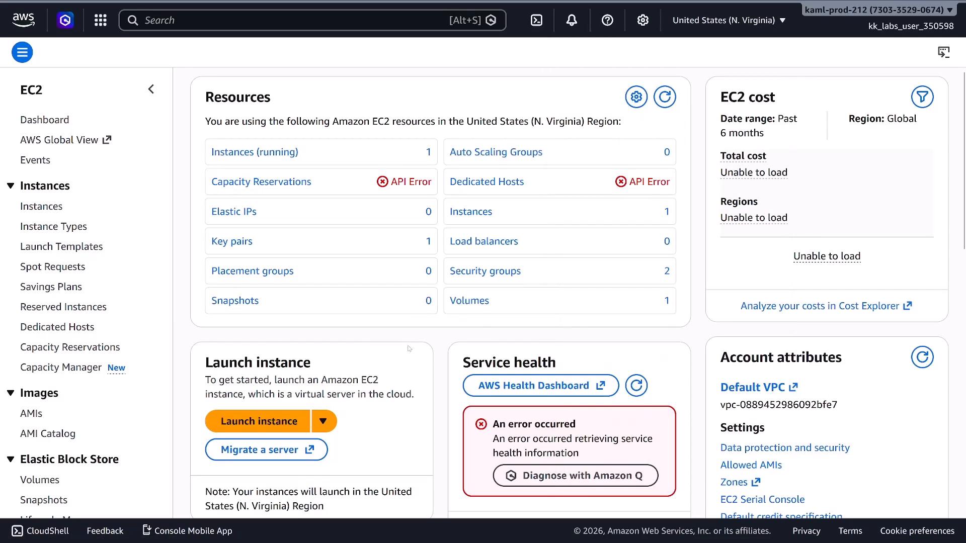 A screenshot of the Amazon AWS EC2 console (US N. Virginia) showing the Resources panel with counts like 1 running instance, key pairs, volumes, and some API Error badges. The right side shows EC2 cost data unable to load, a service health error, and a prominent "Launch instance" button.