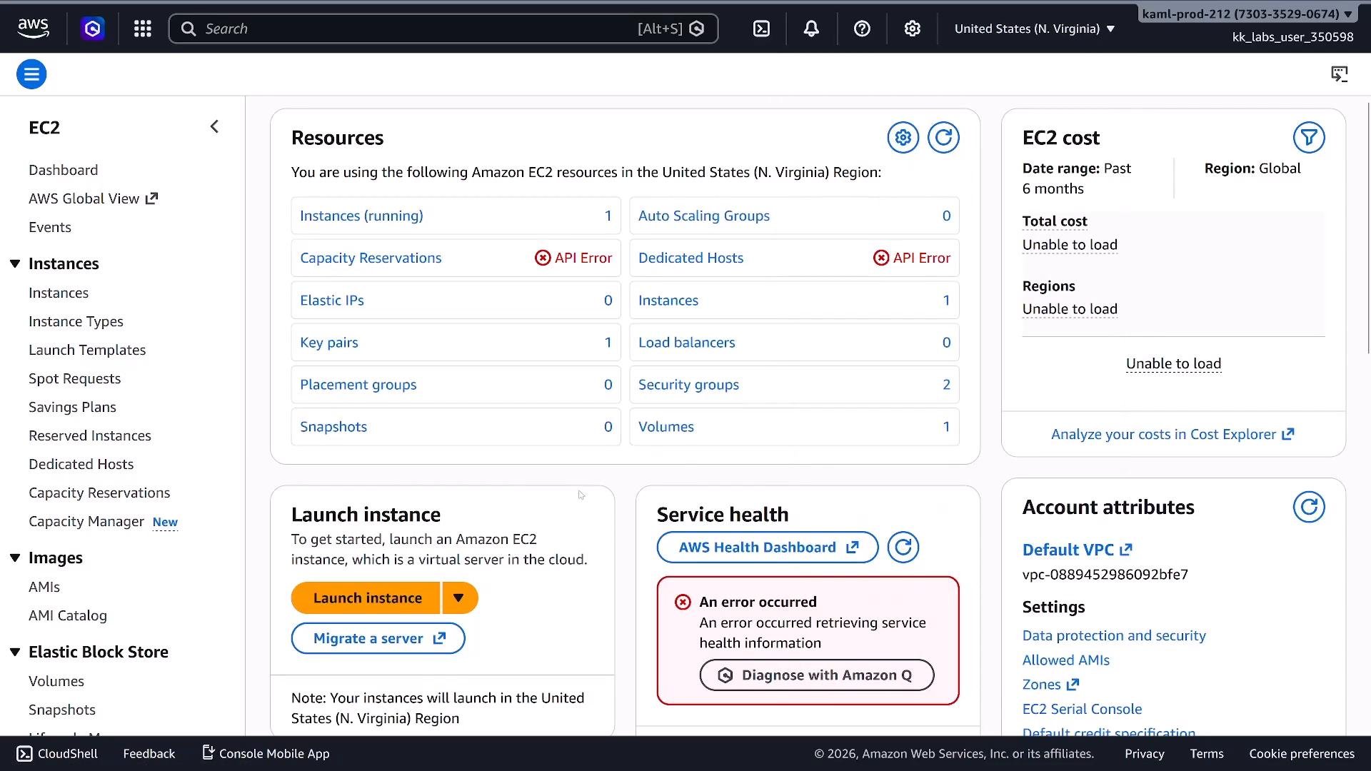 A screenshot of the Amazon AWS EC2 console (US N. Virginia) showing the Resources panel with counts like 1 running instance, key pairs, volumes, and some API Error badges. The right side shows EC2 cost data unable to load, a service health error, and a prominent "Launch instance" button.