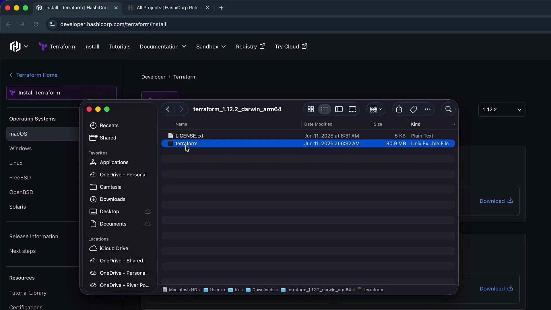 The image shows a computer screen with the HashiCorp Terraform download page open in a browser, alongside a file explorer window highlighting a "terraform" executable file and a "LICENSE.txt" file.