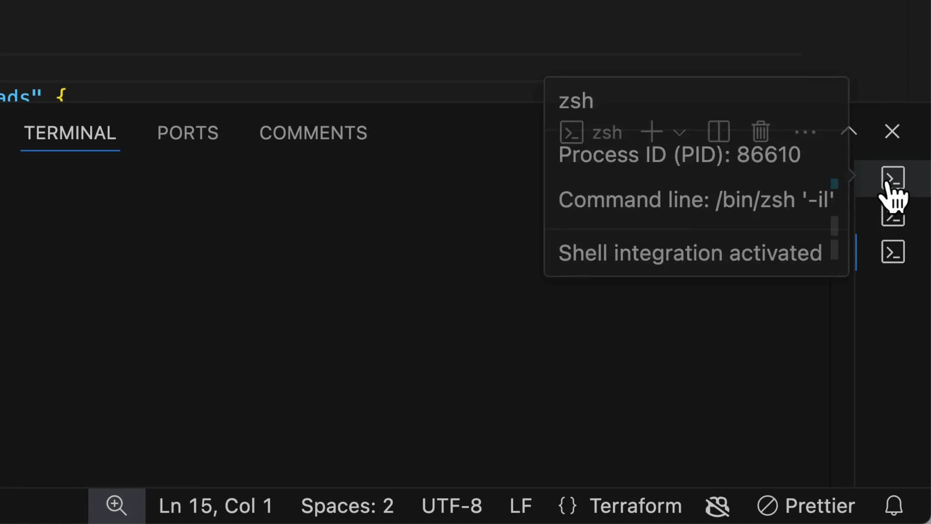 The image shows a terminal interface in a coding environment, with a dropdown displaying details about the shell process (zsh), its process ID, command line, and shell integration status.