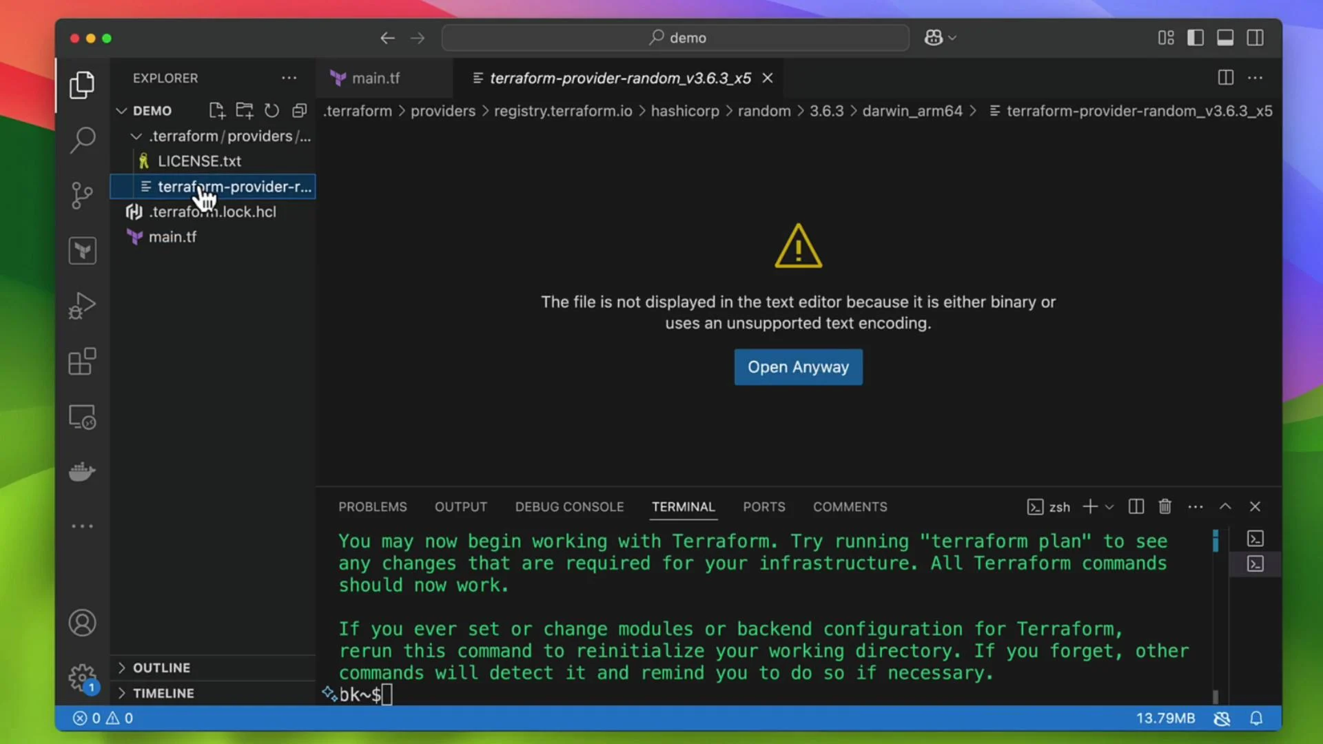 The image shows a Visual Studio Code window with a file named "terraform-provider-random_v3.6.3_x5" highlighted in the Explorer. A warning indicates the file is not displayed due to unsupported text encoding, and the terminal below contains Terraform-related instructions.