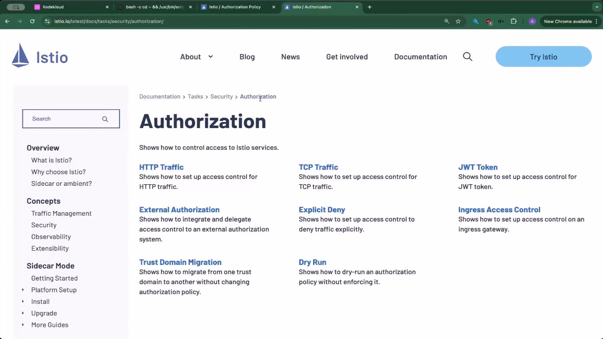 The image shows a webpage from the Istio documentation focused on "Authorization," detailing various access control methods for Istio services. It includes links for setting up access controls like HTTP traffic, TCP traffic, and JWT tokens.