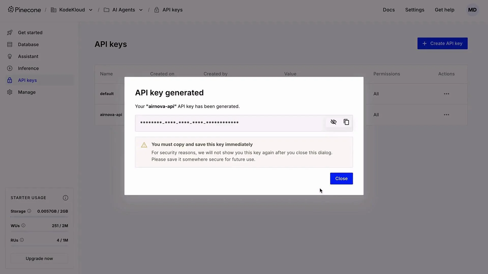 The image shows a dialog box indicating that an API key named "airnova-api" has been generated on the Pinecone platform. It advises users to copy and save the key immediately for security reasons.