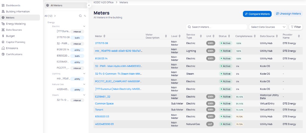 Meters page grouped by Energy Electric Lighting Natural Gas and Steam with a table showing Meter Level Service Type Unit Status Completeness Data Source and Provider Name columns