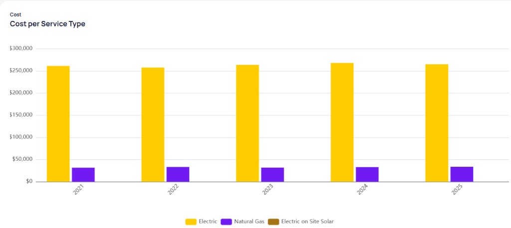 Annual Cost per Service Type chart with Electric in yellow and Natural Gas in purple bars by year from 2021 to 2025
