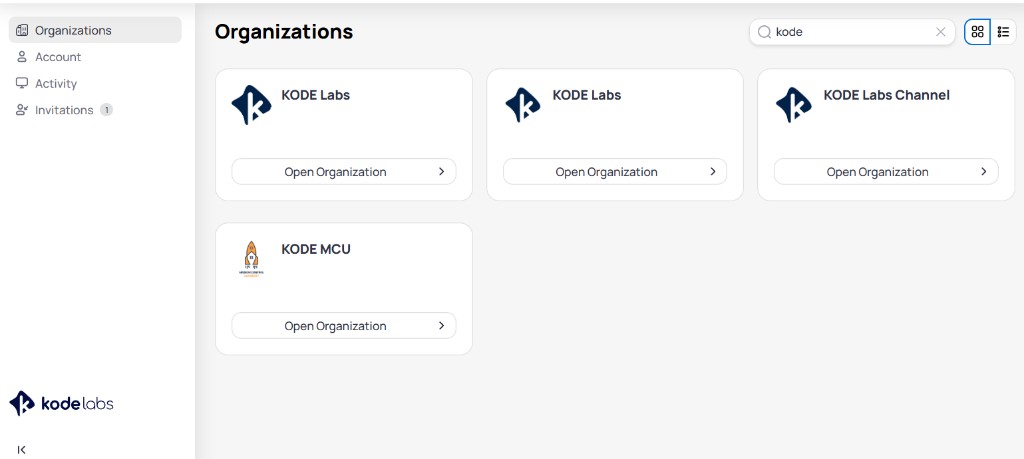 Organizations page in the account portal showing organization cards with logos, names, and Open Organization buttons, plus search and grid or list view controls