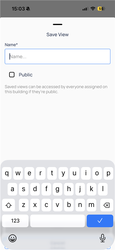 Save View modal with Name field and Public checkbox