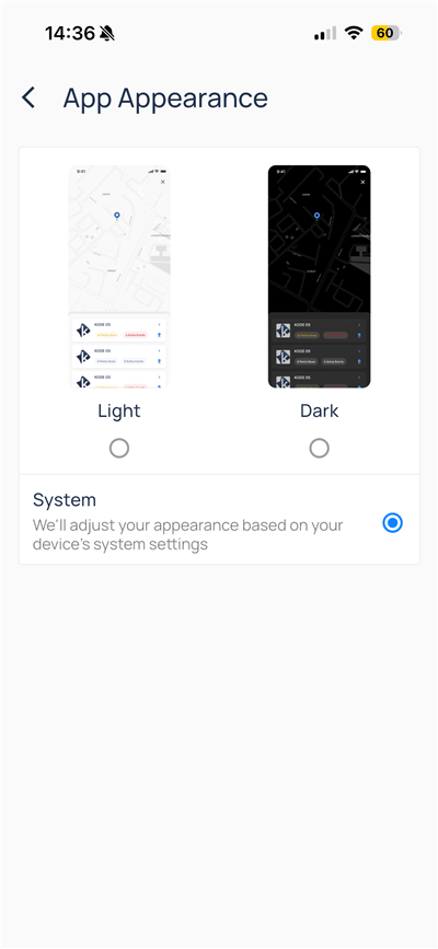 App Appearance with Light, Dark, and System radio options and map previews