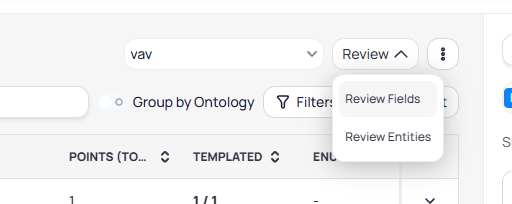 Review dropdown menu showing Review Fields and Review Entities options