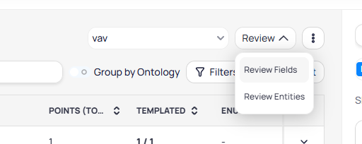 Review dropdown menu showing Review Fields and Review Entities options