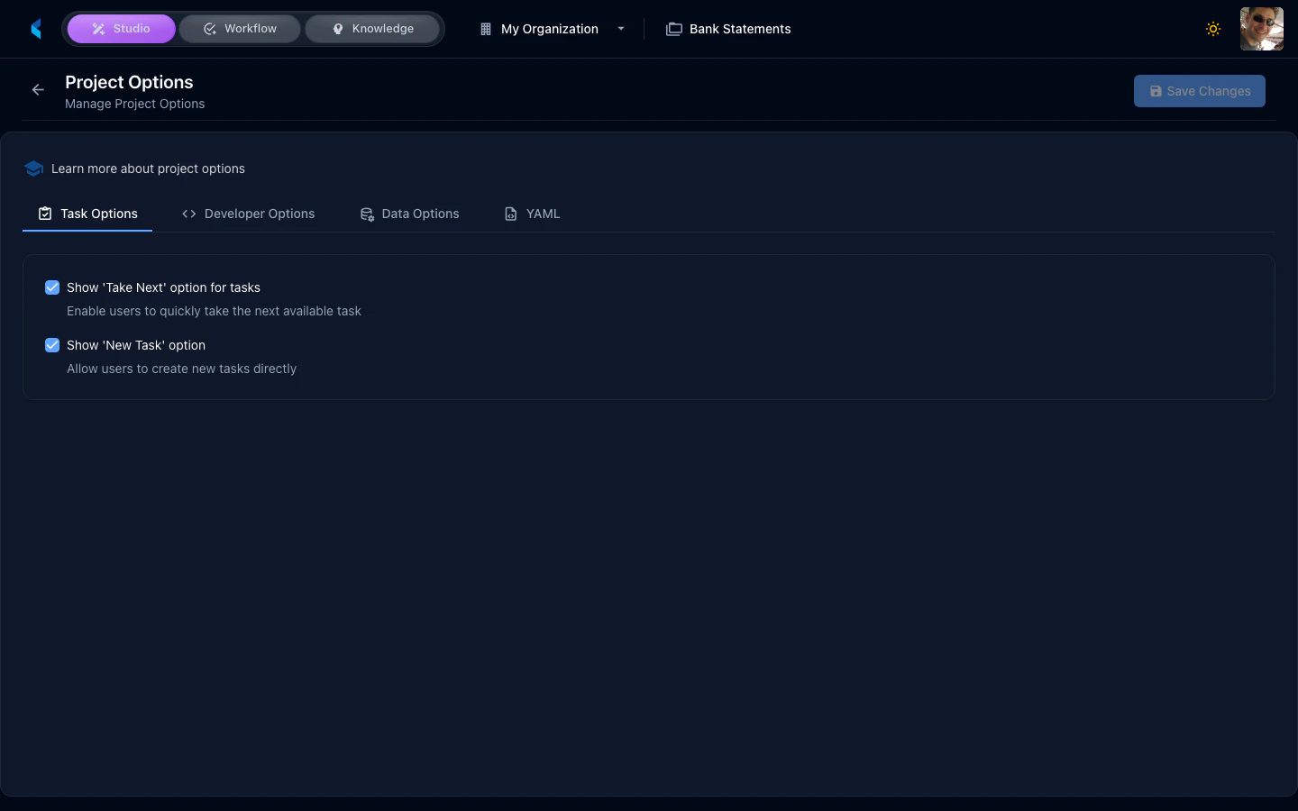 Project Options panel showing toggle switches for various feature flags