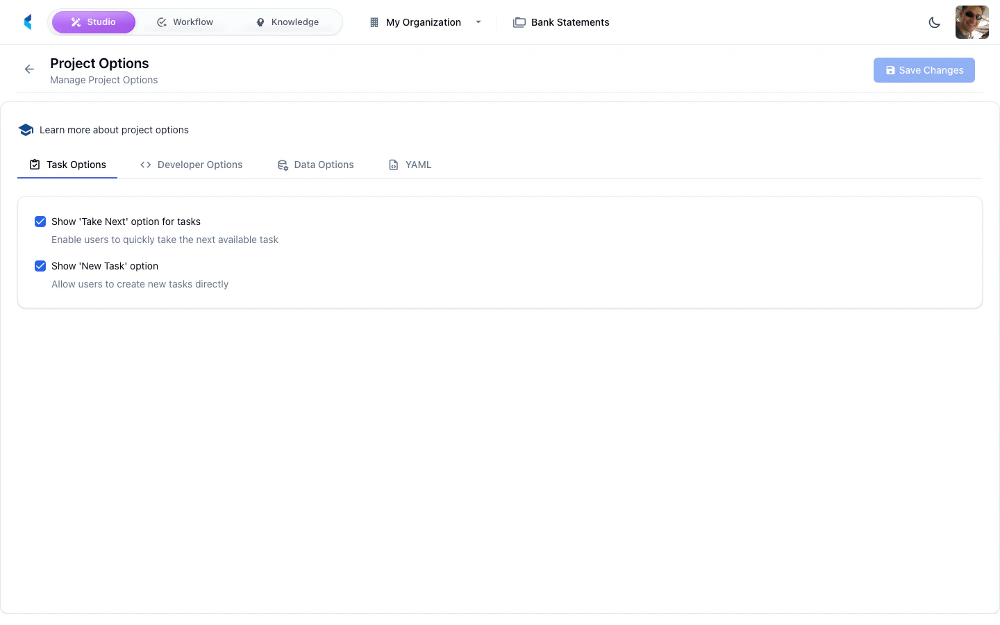 Project Options panel showing toggle switches for various feature flags