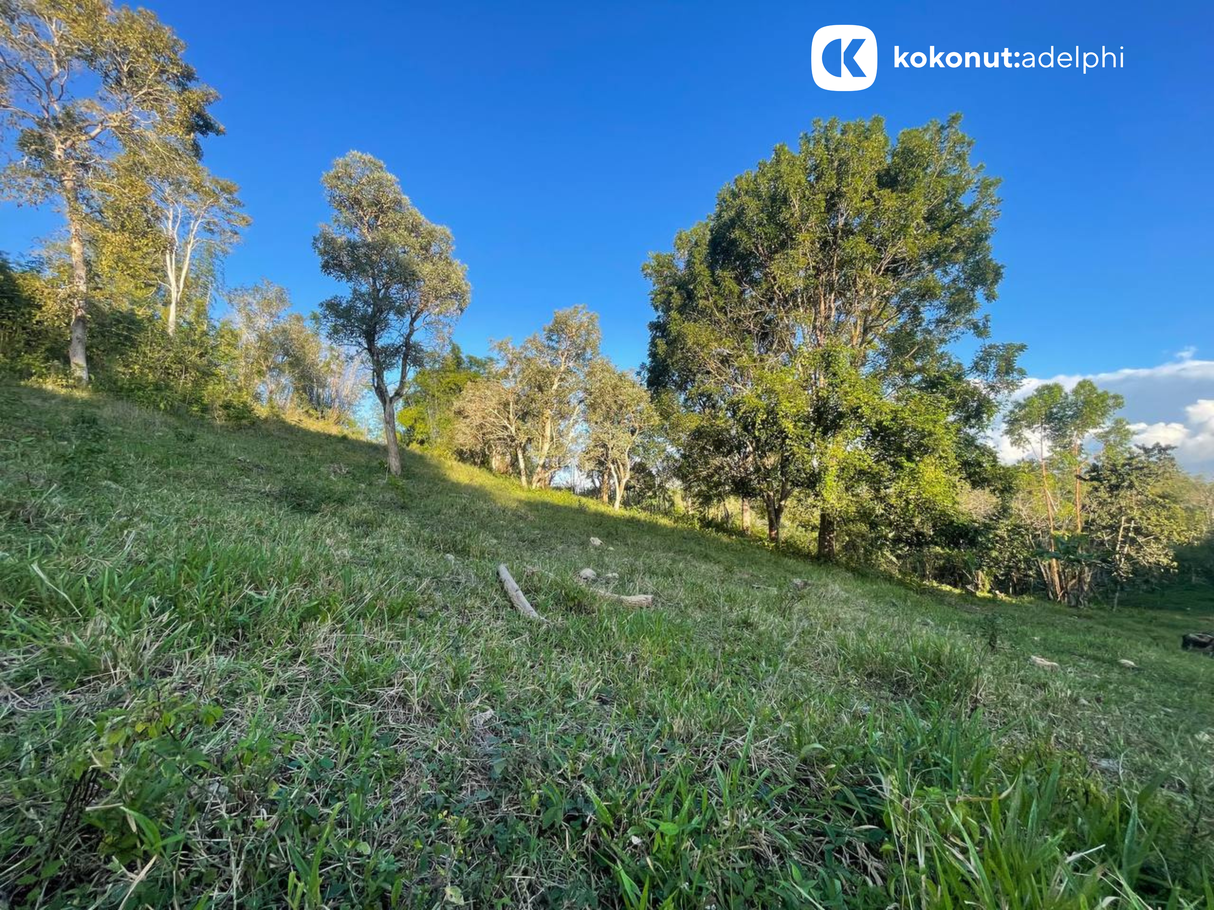 KKN Adelphi Horizontal Social Photo Posts