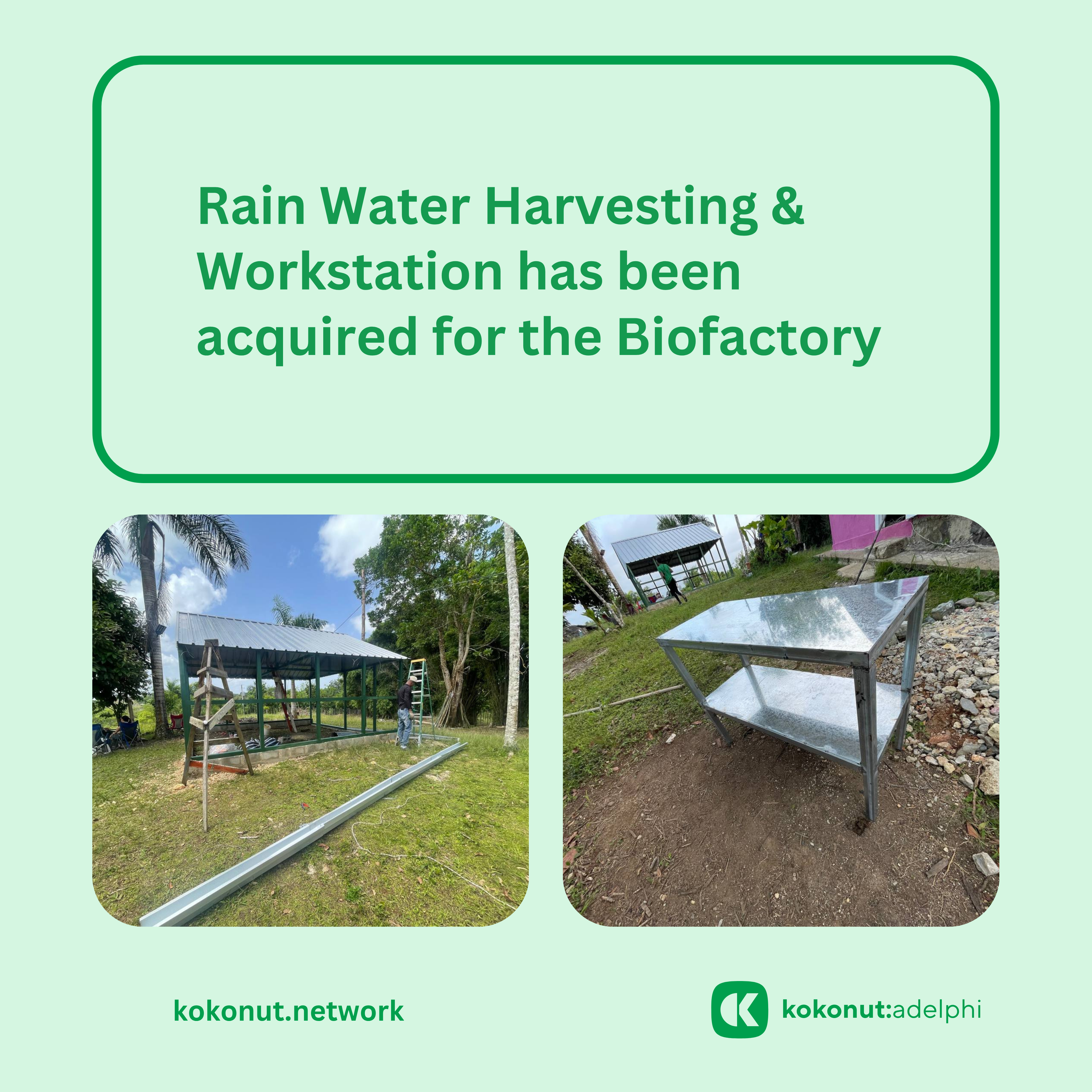 Adelphi Biofactory KKN Social Post