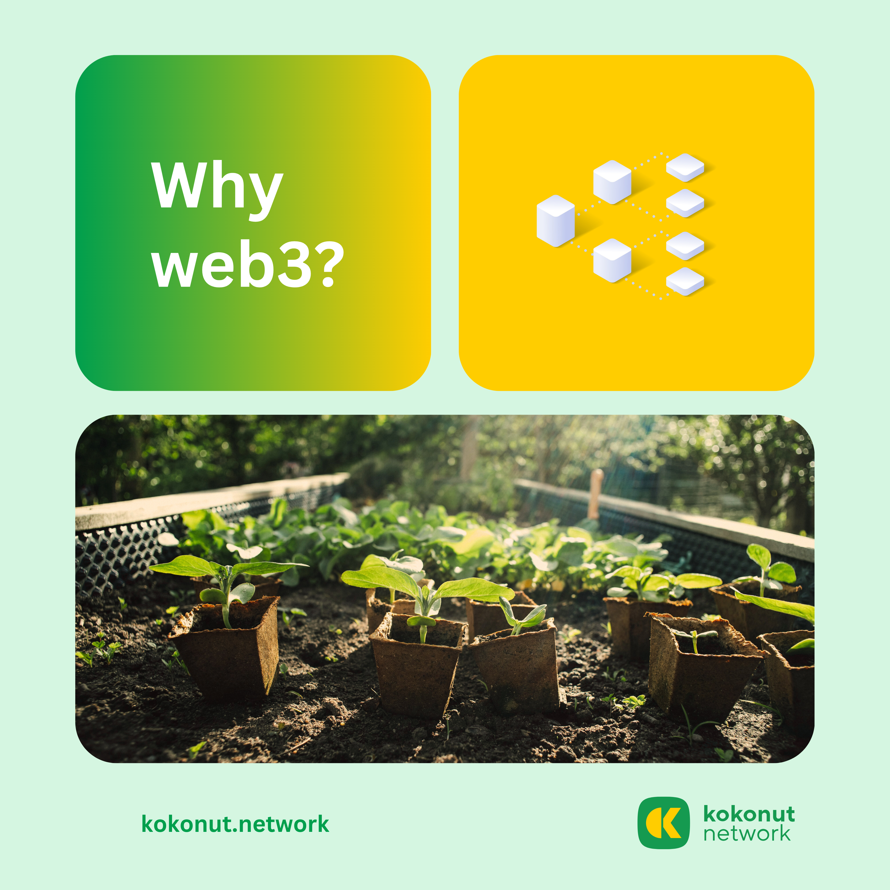 Why Web3 Kokonut Network