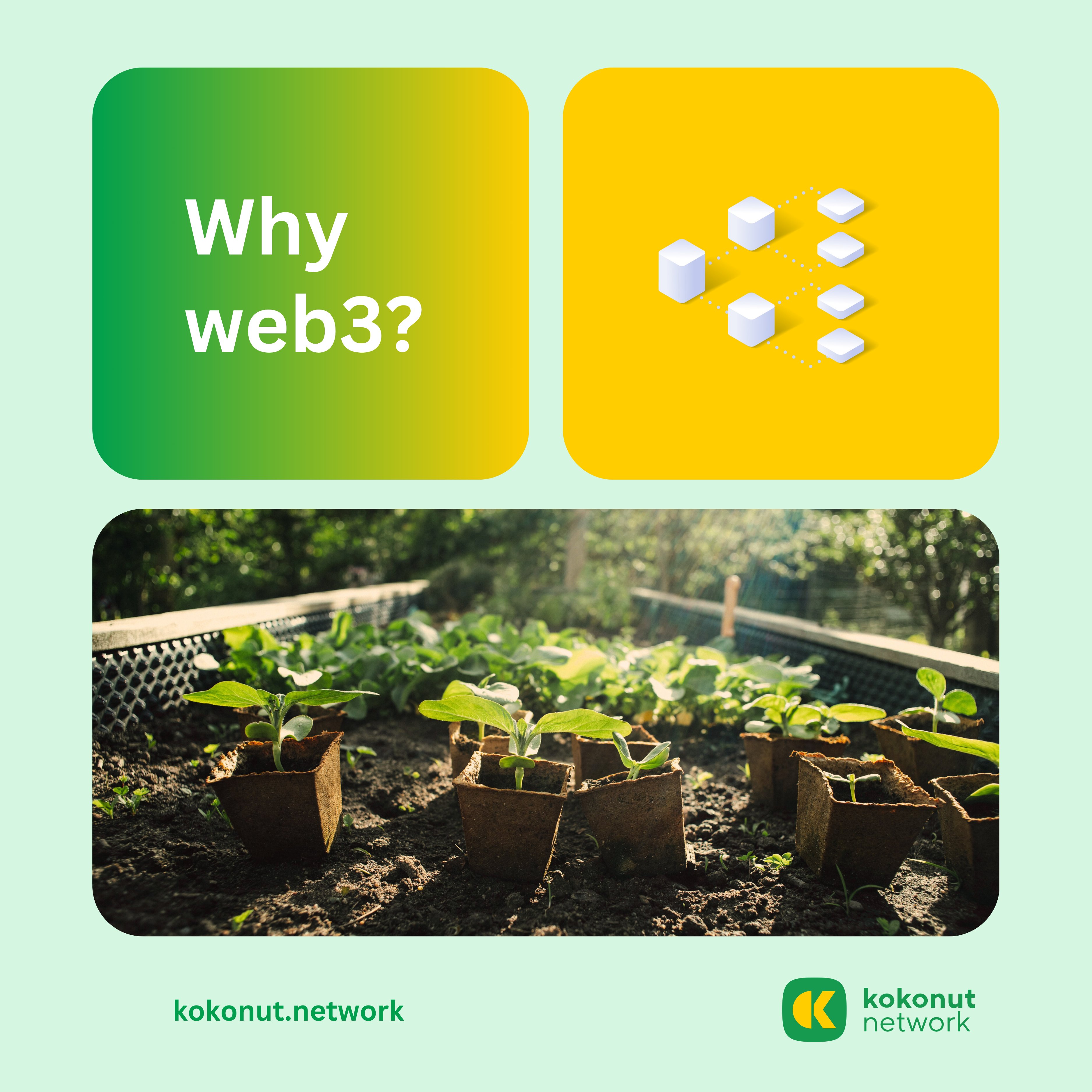 Why Web3 Kokonut Network 1