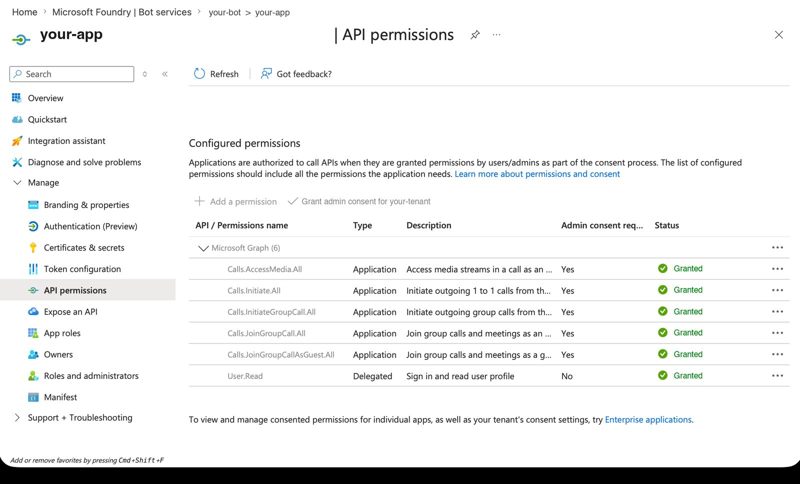 API permissions page listing the Calls application permissions, each with a green Granted status