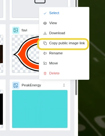 Asset Manager: the image menu with Copy public image link highlighted