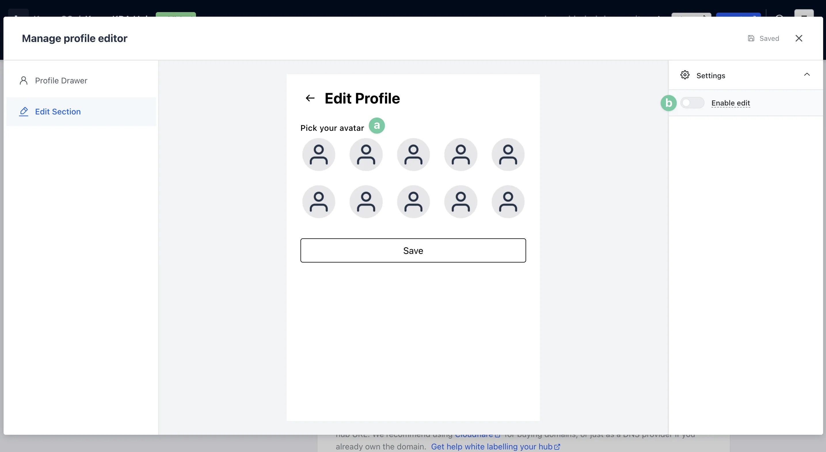Badges and Workflows: option a — Step 8: Enable & Configure Profiles (Optional)