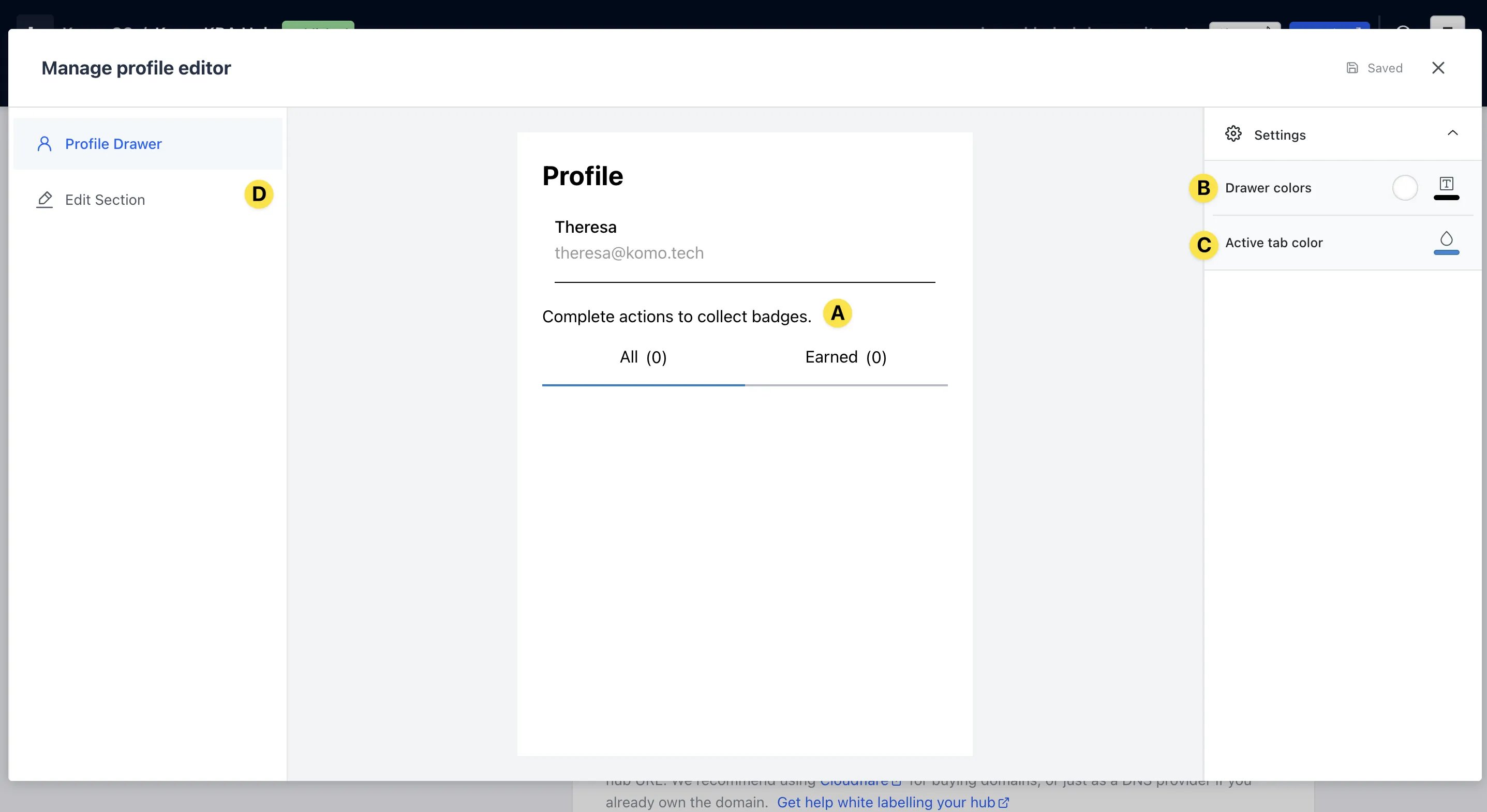 Badges and Workflows: option a — Step 8: Enable & Configure Profiles (Optional)