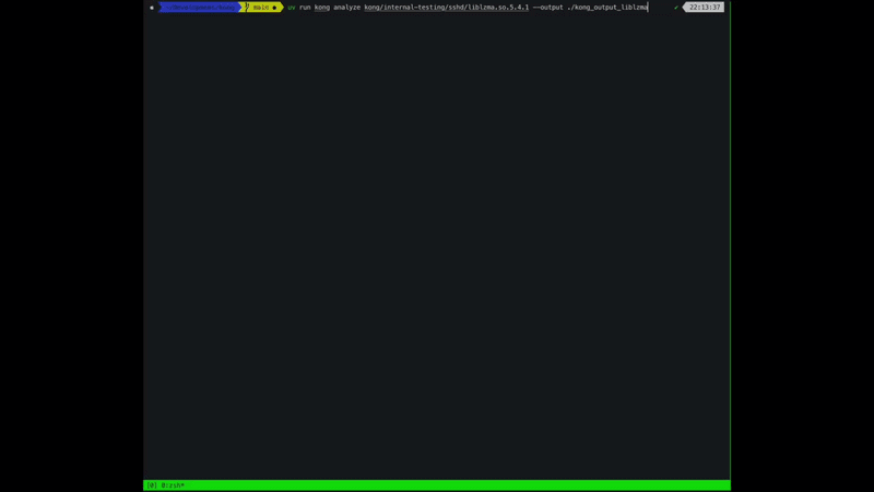 Kong analyzing a stripped binary in the terminal