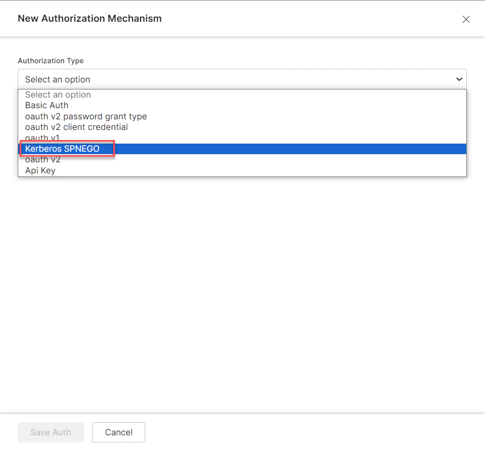 Authorization Type - Kerberos-SPNEGO