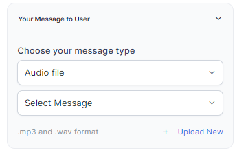 Audio File